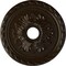 Ekena Millwork Palmetto Ceiling Medallion (Fits Canopies up to 5"), 20 7/8"OD x 3 5/8"ID x 1 5/8"P, Bronze CM20PMBZS - alternate 1